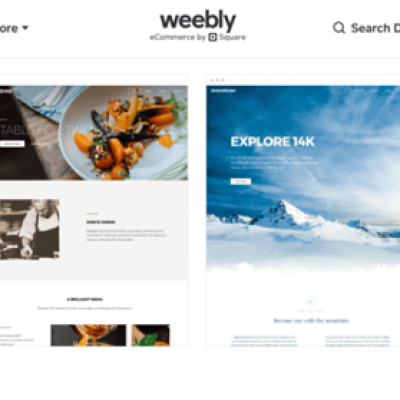 jasa web developer